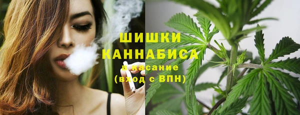 хмурый Лагань